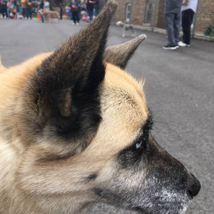 A00054c0 745e 4645 ac90 e30613f5831c