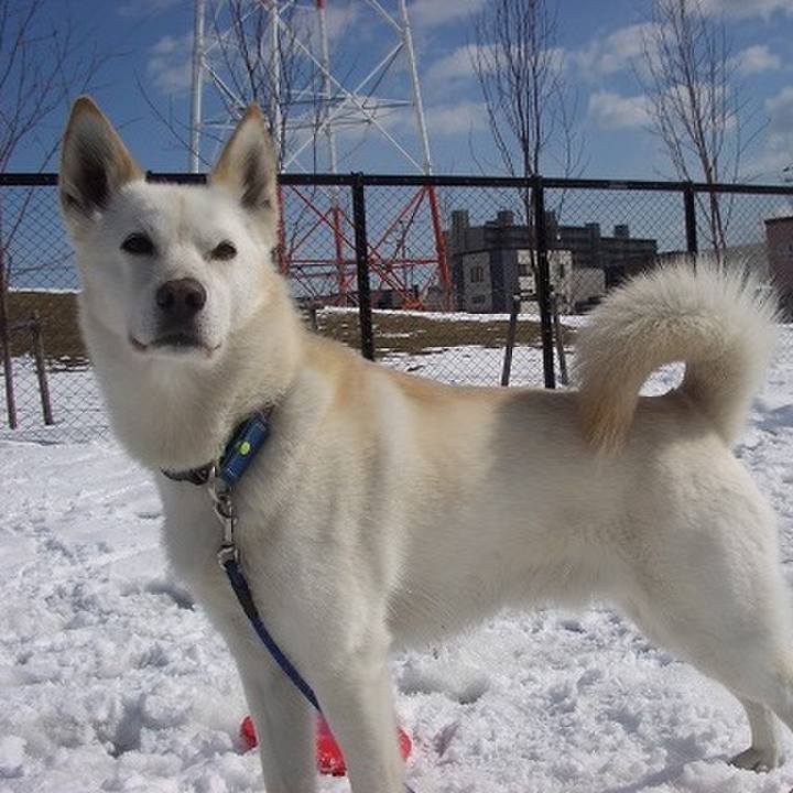 A0005c54 1c88 4eb5 aa6f c85d0ad982f9