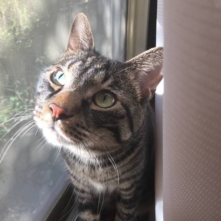 A0010798 8080 474d 9841 4c2c147e8527