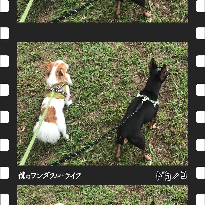 A0013bcd d18c 471b a970 2b860799195c