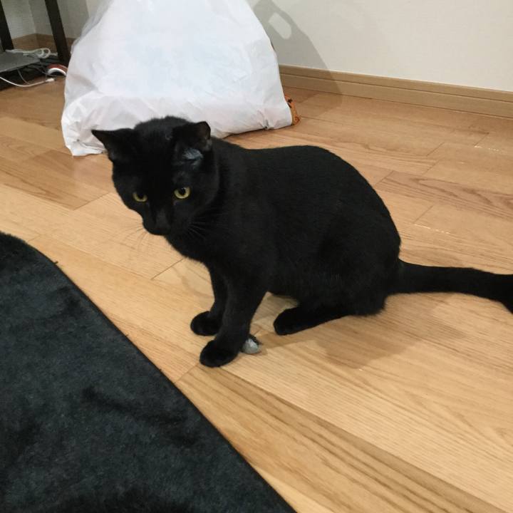 A0015ad7 0e95 48b4 9476 bc5da596959c