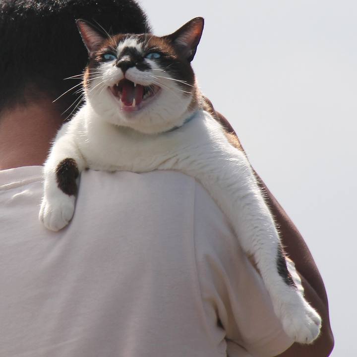 A0025fb0 d0b0 445f a45f 40edc694faed