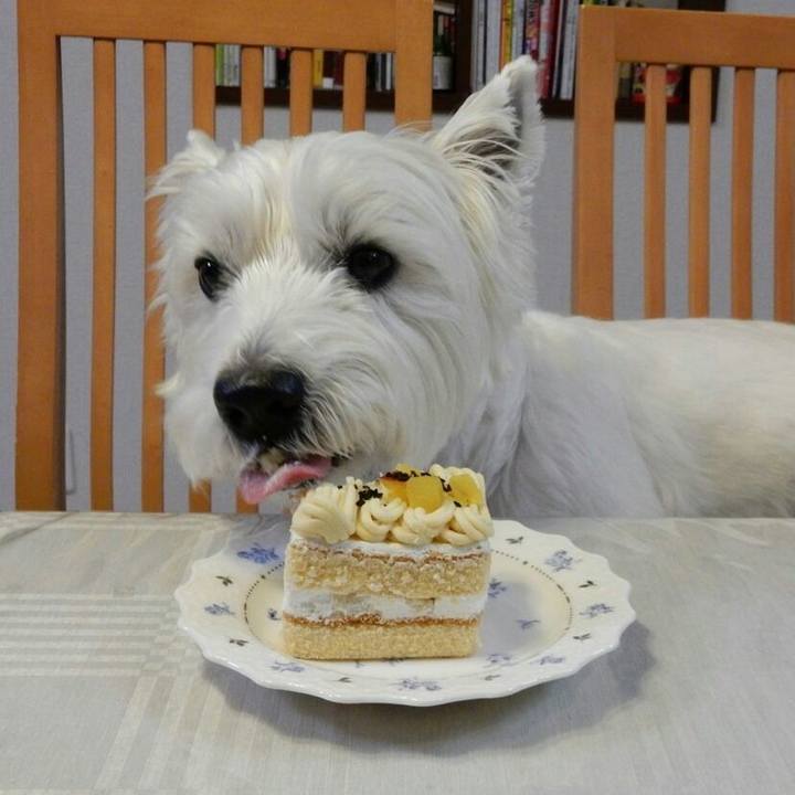 A002889f 1ce4 4797 82a7 71550d378052