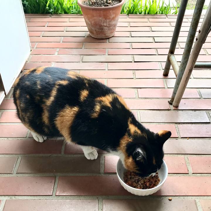 A00296d7 da26 48c6 896f 7975b6cb93d4