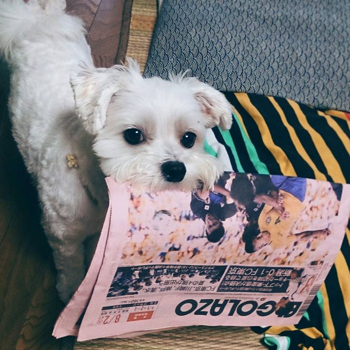 A002a70b 27de 4697 8a22 42ce8db85fbe