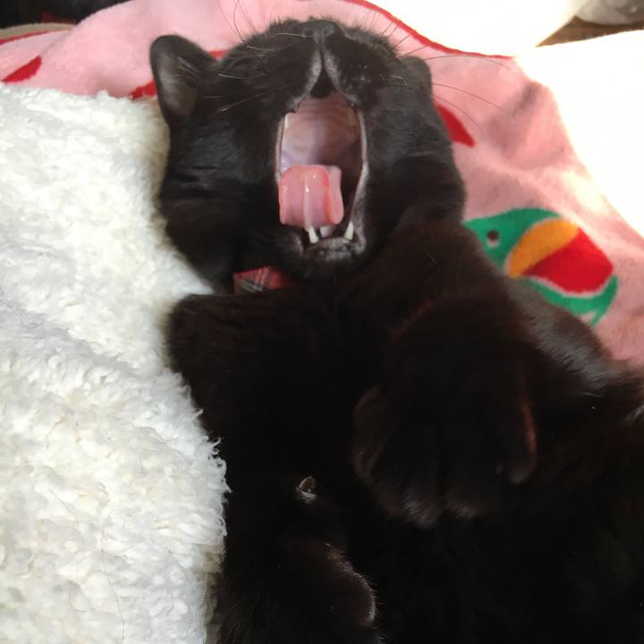 A0034a36 d945 4ca4 bdca c7acc5a5eac0