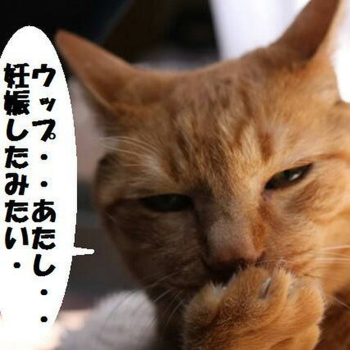 A0036611 9457 4d97 9dba 47c4e25a42c1