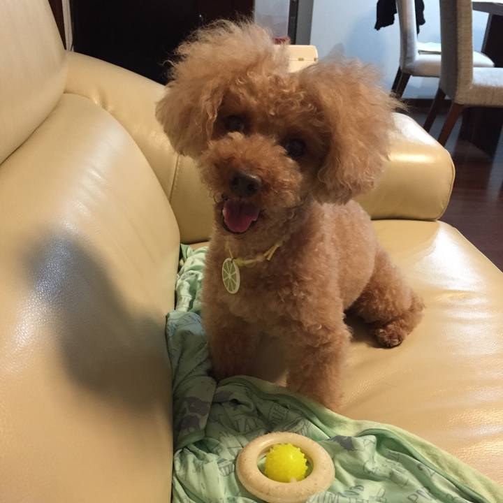 A0037711 2101 45bb 950b 7b5787898d9c