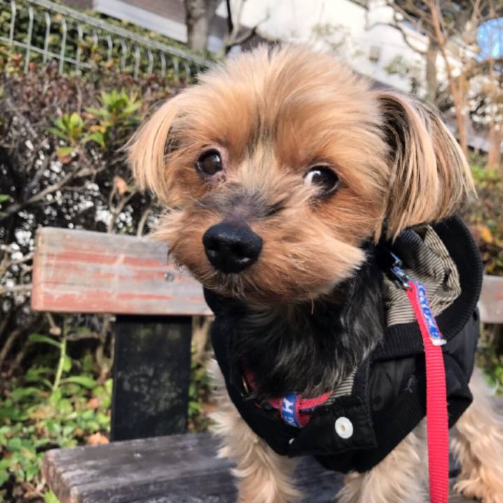 A003a749 c163 4daf b132 4fdbde585061