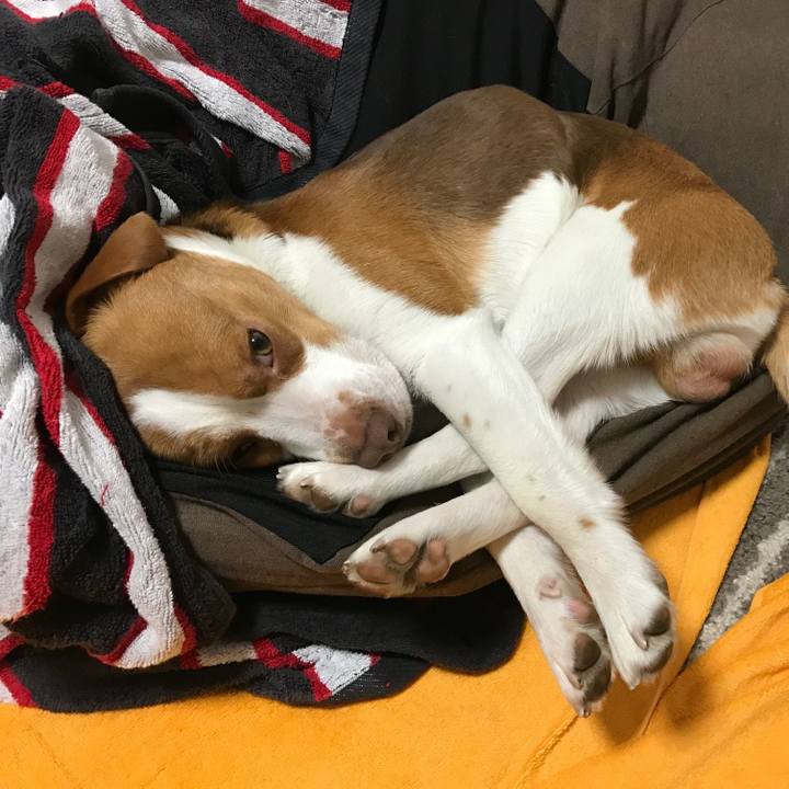 A003c842 5c5f 4b57 a5e3 aa0216b09074