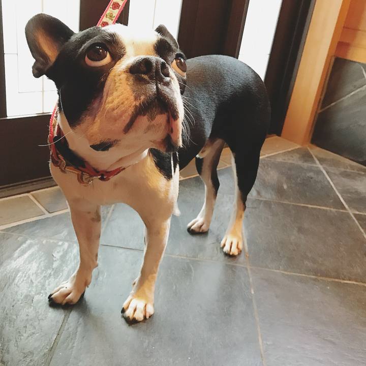 A0057ac4 0107 4dd1 89f1 3baf520626fc