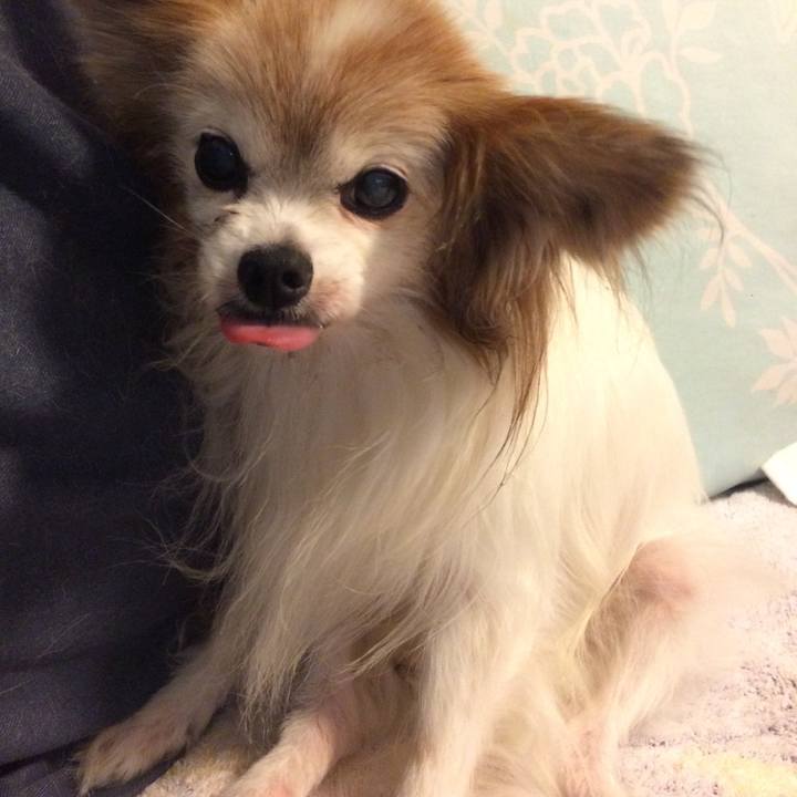 A005b05b 15ef 41db a06e 4d8cc105f66a