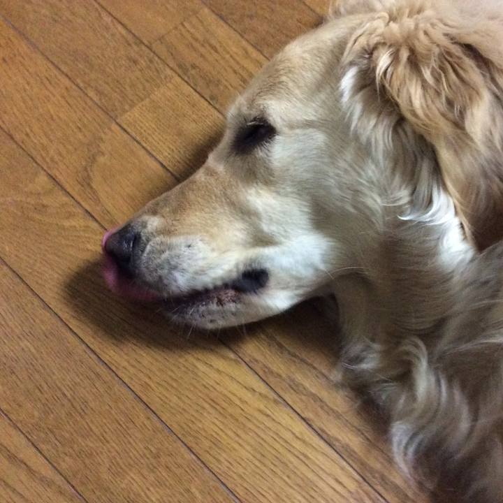 A007c333 5e99 4ce6 81b4 2d12a3bc6a82