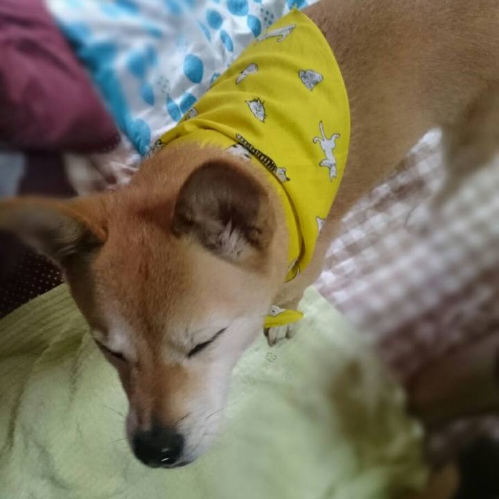 A00843be 4bae 4cdc 85b4 74a54000f157