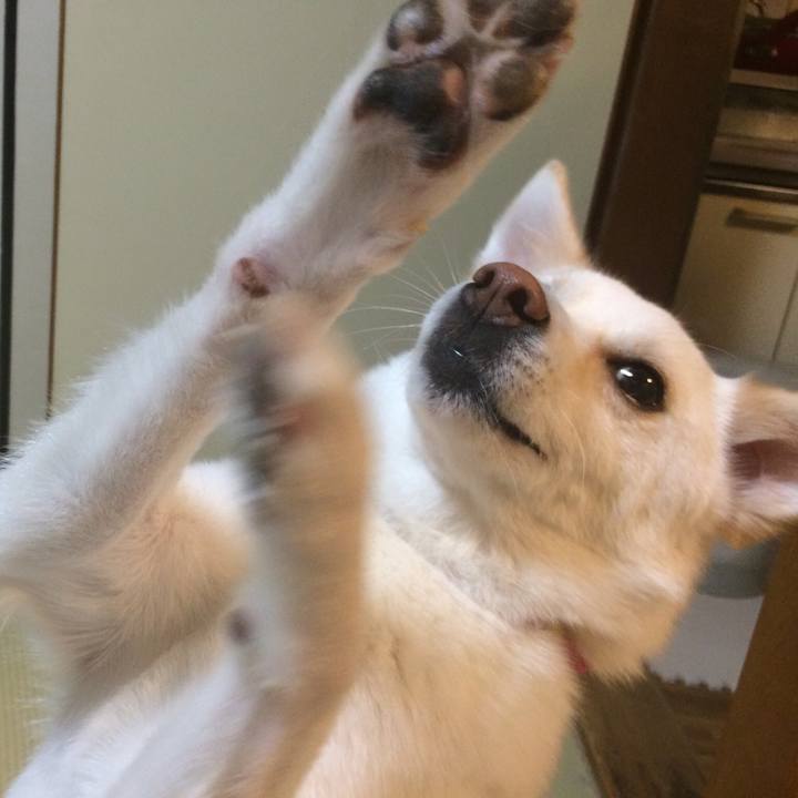 A0088821 960a 43f1 99f8 0a47976f232f