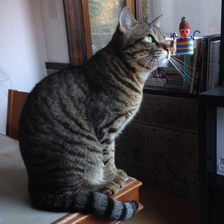 A0089a9b 78fc 4a14 b0bc da3dcb68c113