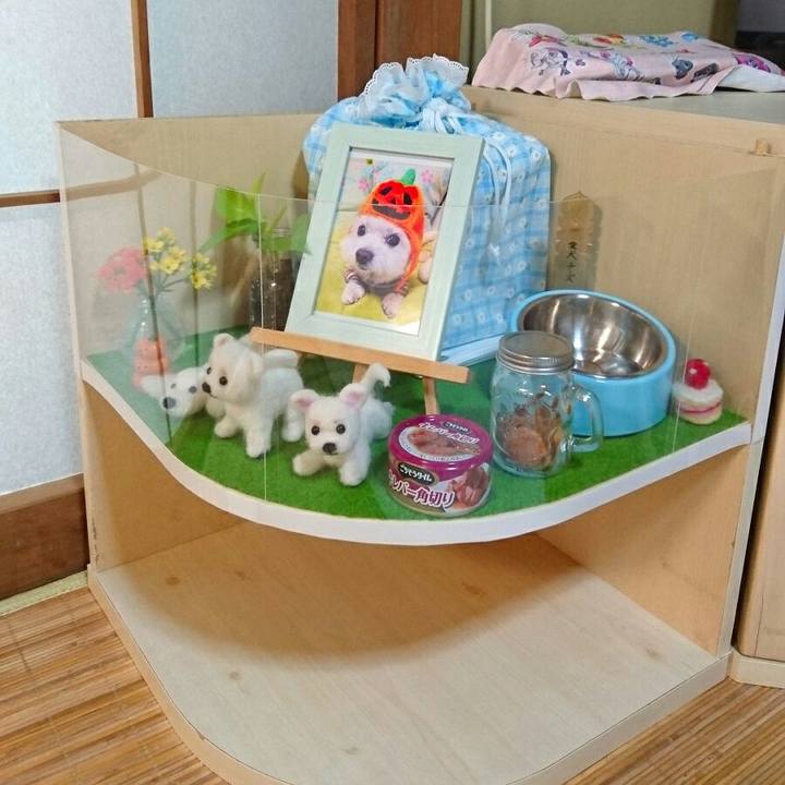 A008c44f bed3 420f a8c7 0a70c3fed969