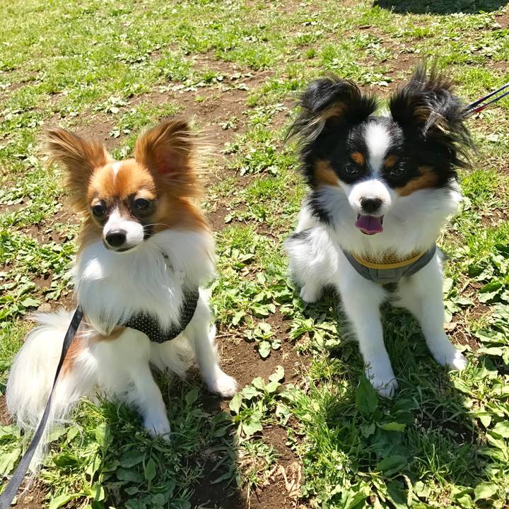 A009834f 3be1 4551 b261 77792871adbf