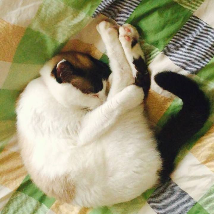 A009af25 8ffe 4587 b59f 27ca8aa8795a