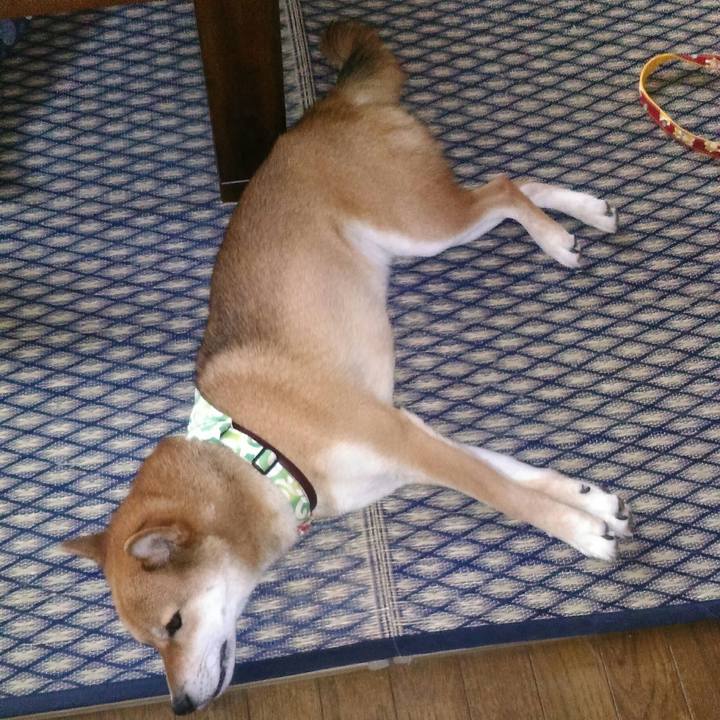 A009c606 a17b 4a78 9500 513ab396969d