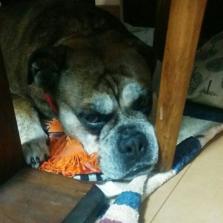 A00a5ef3 3447 4c86 94f9 6064a0fd7488