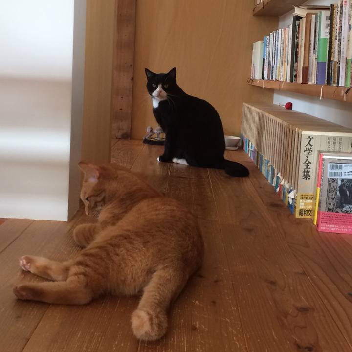 A00a6095 74a9 4dac 8d09 055267150182