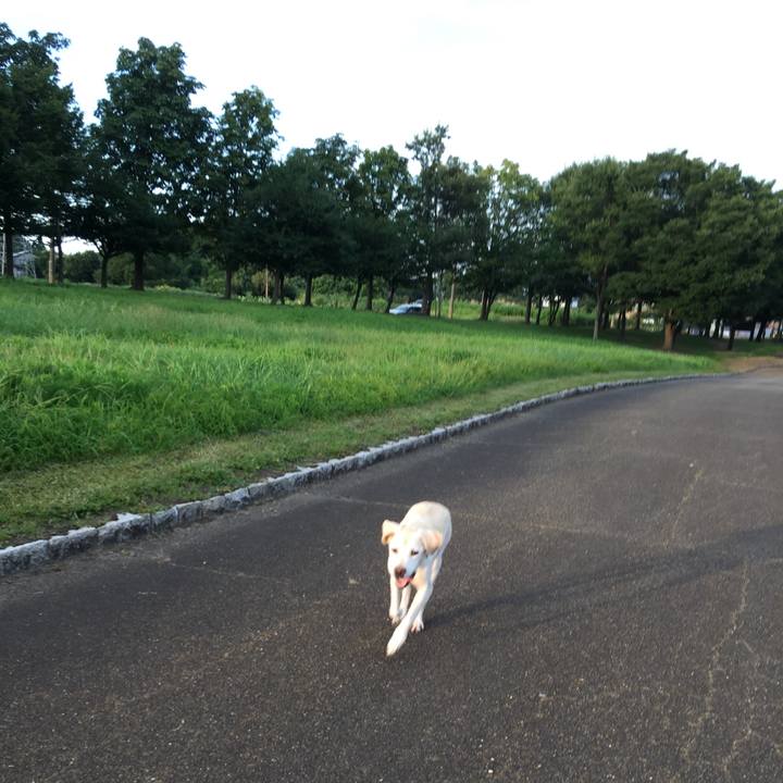 A00a6587 e415 498d b58b bb138338389f