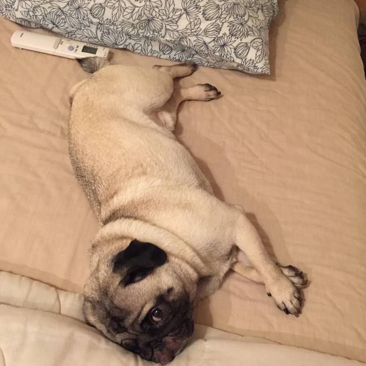 A00af7e0 fddd 4a59 b606 9ab505d39b1b