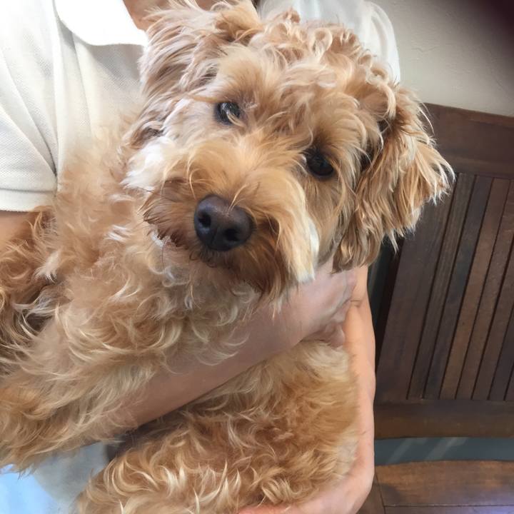 A00bc348 aede 44cc 8e48 fead52c562ca