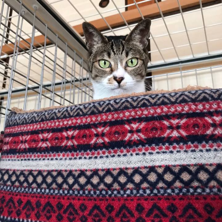 A00c0225 f8c5 4977 ad41 0b3891aa2cad