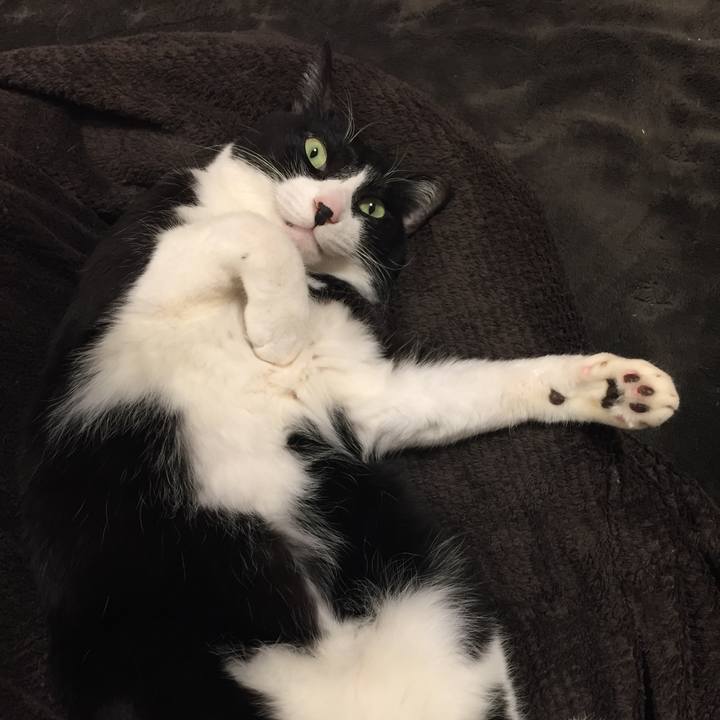 A00c40ca d224 43fd 929b 6e608bf22474