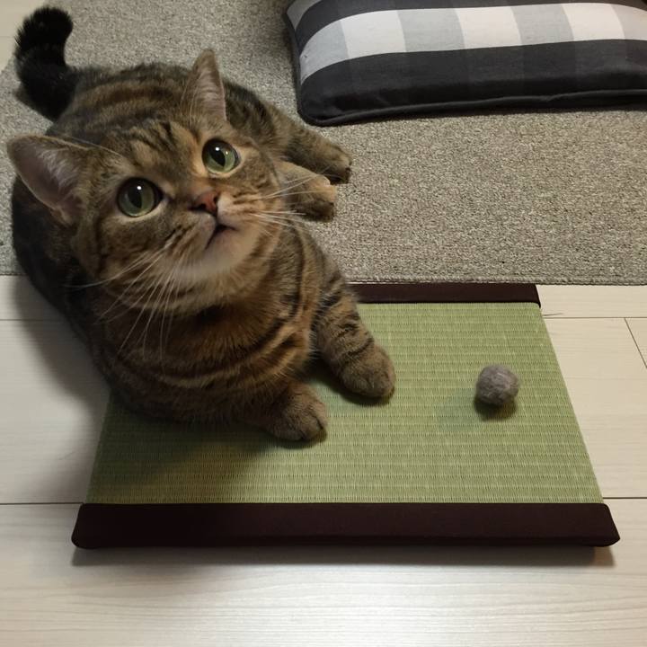 A00c5710 d8d5 4a02 84c2 e1e2f2d43c85