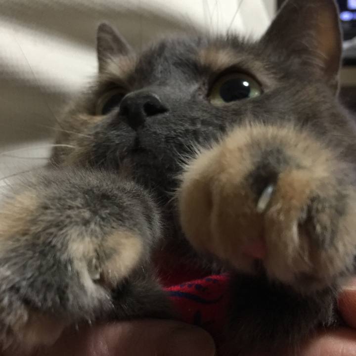 A00cfc07 75ae 496e bbbe cbb8470c877c