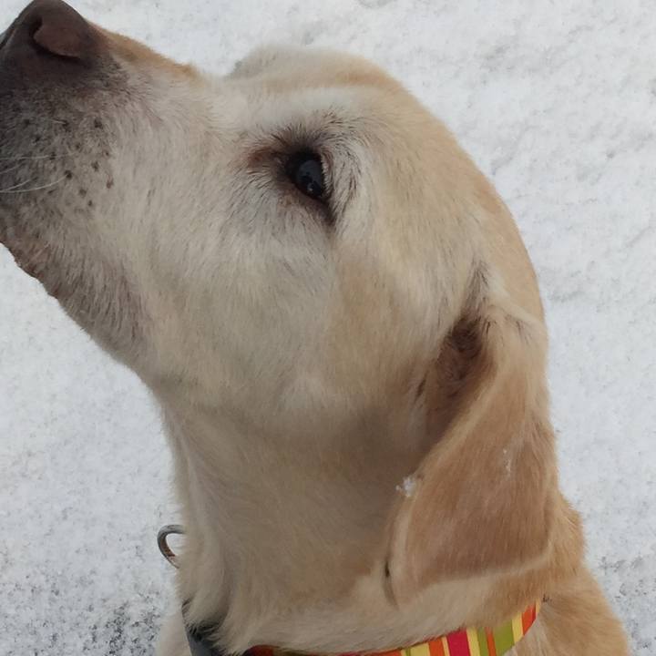 A00e889e 3f23 4872 aff5 674f3f234a5b