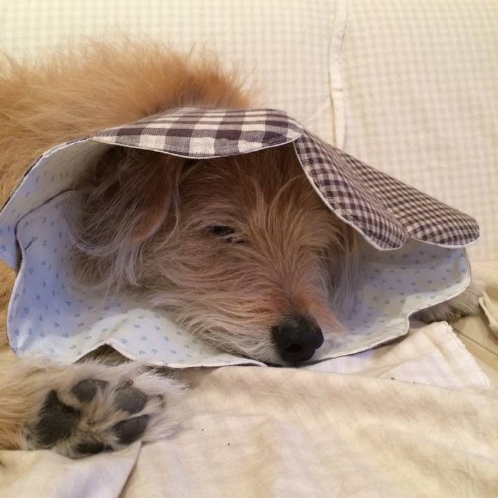 A00f3a5a bc64 4e6b ac78 f3c2f6c14a72