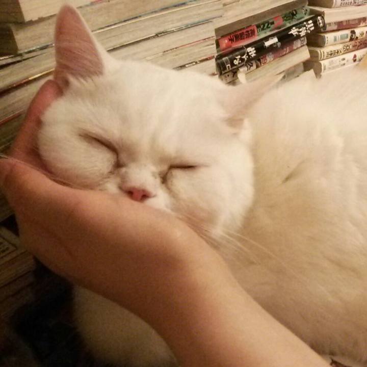 A00f4632 5ccc 4e84 894e 4938c113f204