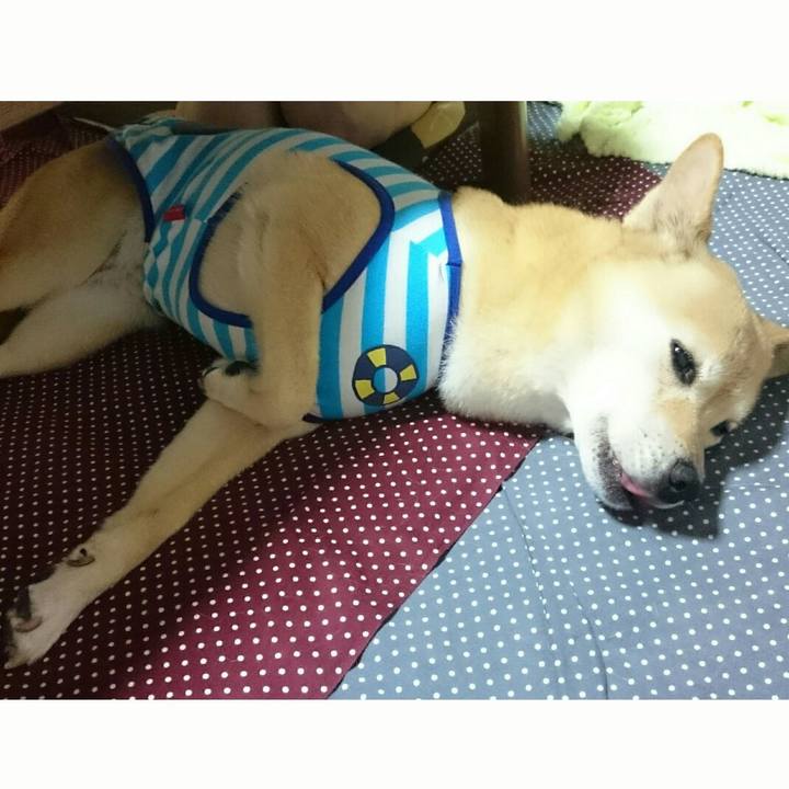 A00f89d7 01a8 4acc b240 ccd3a6db4b20