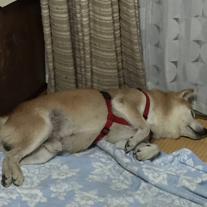 A00fa454 c179 4194 b476 7f5686f3d585