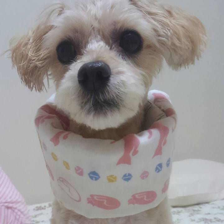 A0103221 f5bf 40bc 861b 9c78422d9619