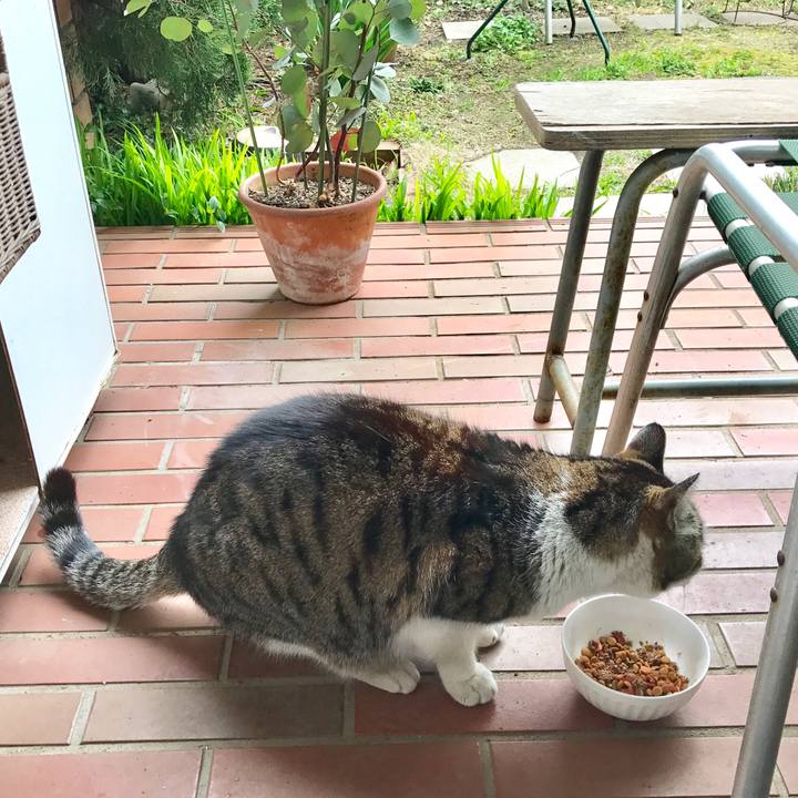 A01046fb 34ff 4a88 b485 c8e285a647ce