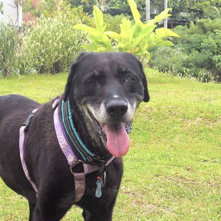 A010ac79 4b01 4d63 9a97 a34e3919906a