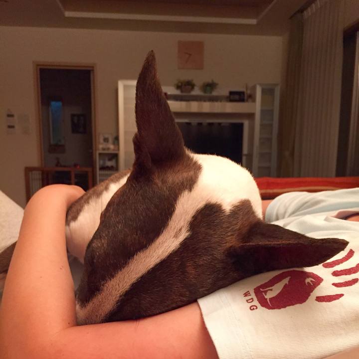 A010c708 699b 46c5 af01 ff1ef70fc6ee