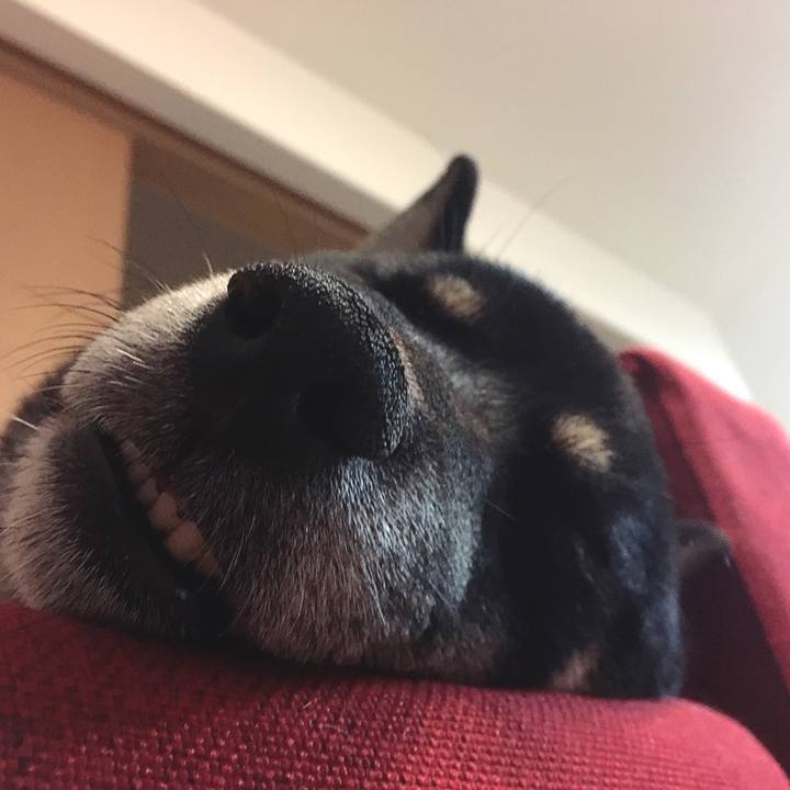 A0115c18 f212 41b9 96e4 0fdf917273e3