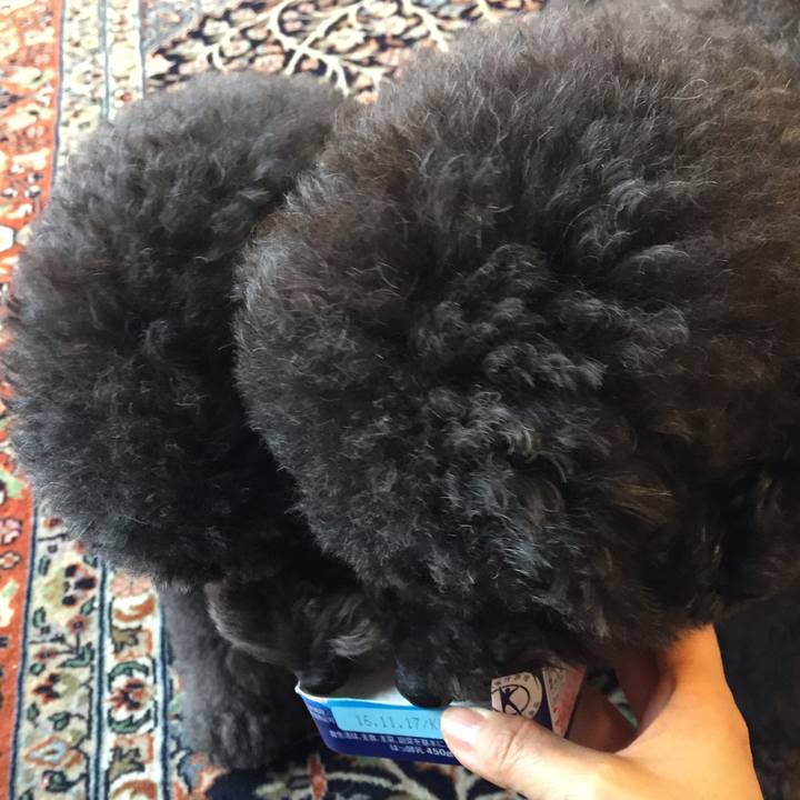 A0115d80 c946 44eb 8b2b 1992d196a2d6