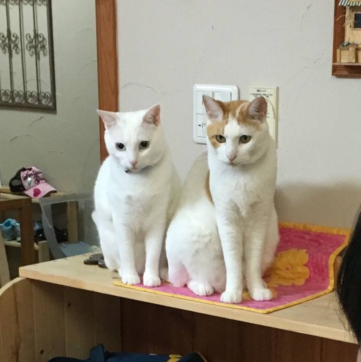 A0126564 c18d 4f4a 9062 f3d375209b6a