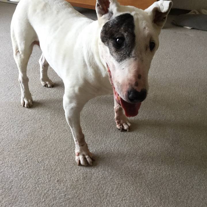 A012b5cb 2490 4420 b482 ff7d05605954