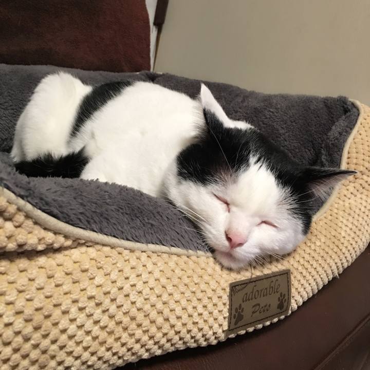 A01301c0 f5a1 4802 8339 52cde4de6561