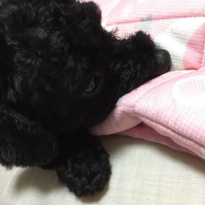 A0137722 2868 4ce8 9df6 264f1f6da193