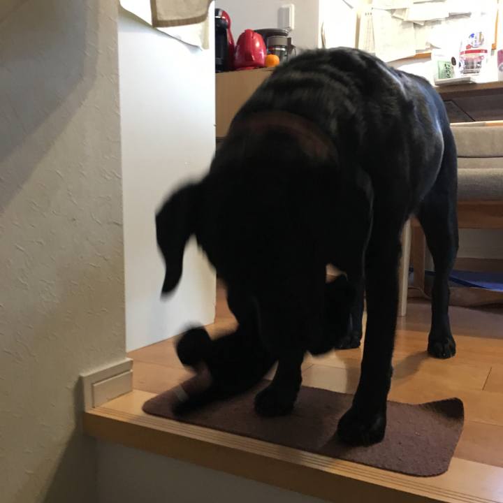 A013dd5d 14c1 471d b9fd d36414e8a14d