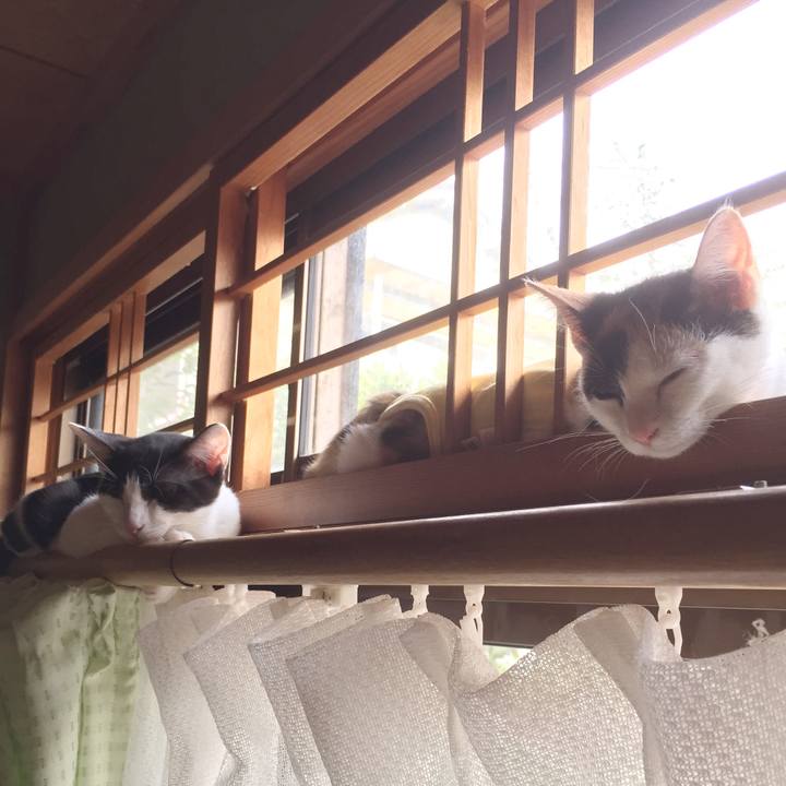 A013eea2 55cf 41f5 b63a fd838e310c90